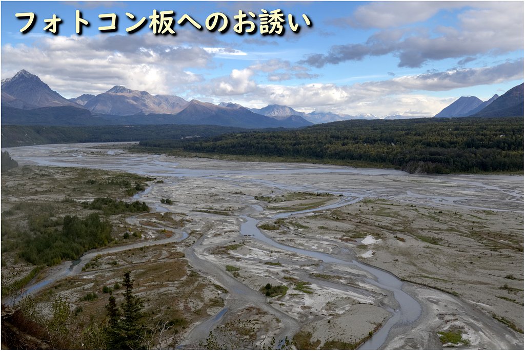 今月のフォトコンへのお誘い