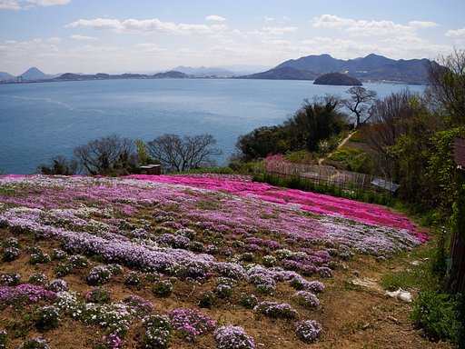 瀬戸内