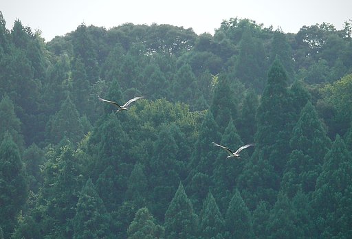 7月17日の写真