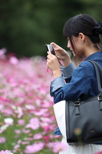 宮崎あおいさん似の方