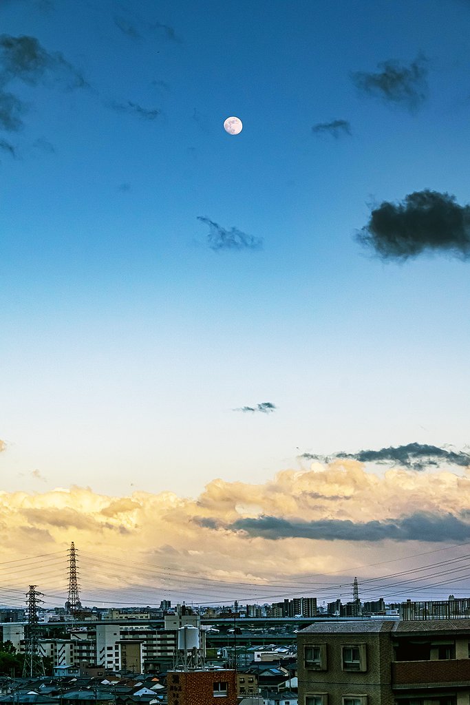 【好きなもの】月