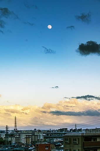 【好きなもの】月