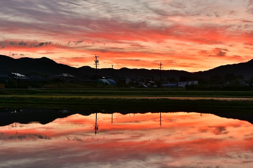 最後の1枚