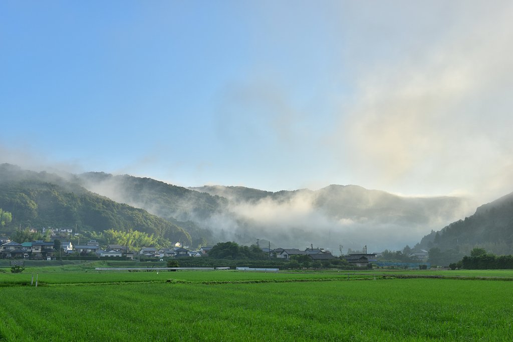 梅雨の中休み