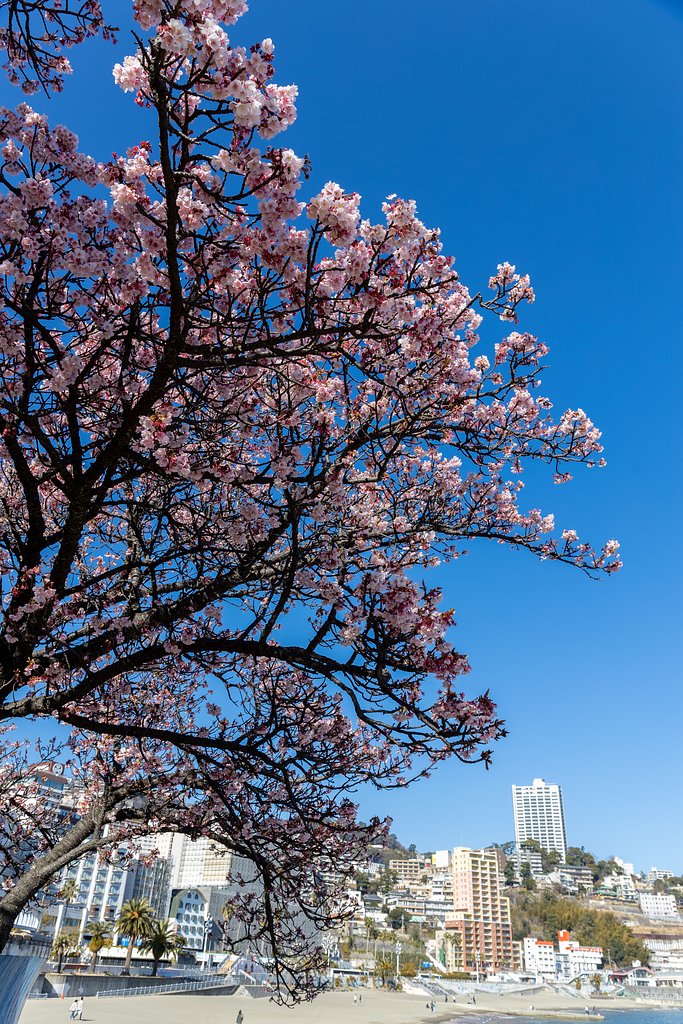 EF24-70mm f/4L IS USM
