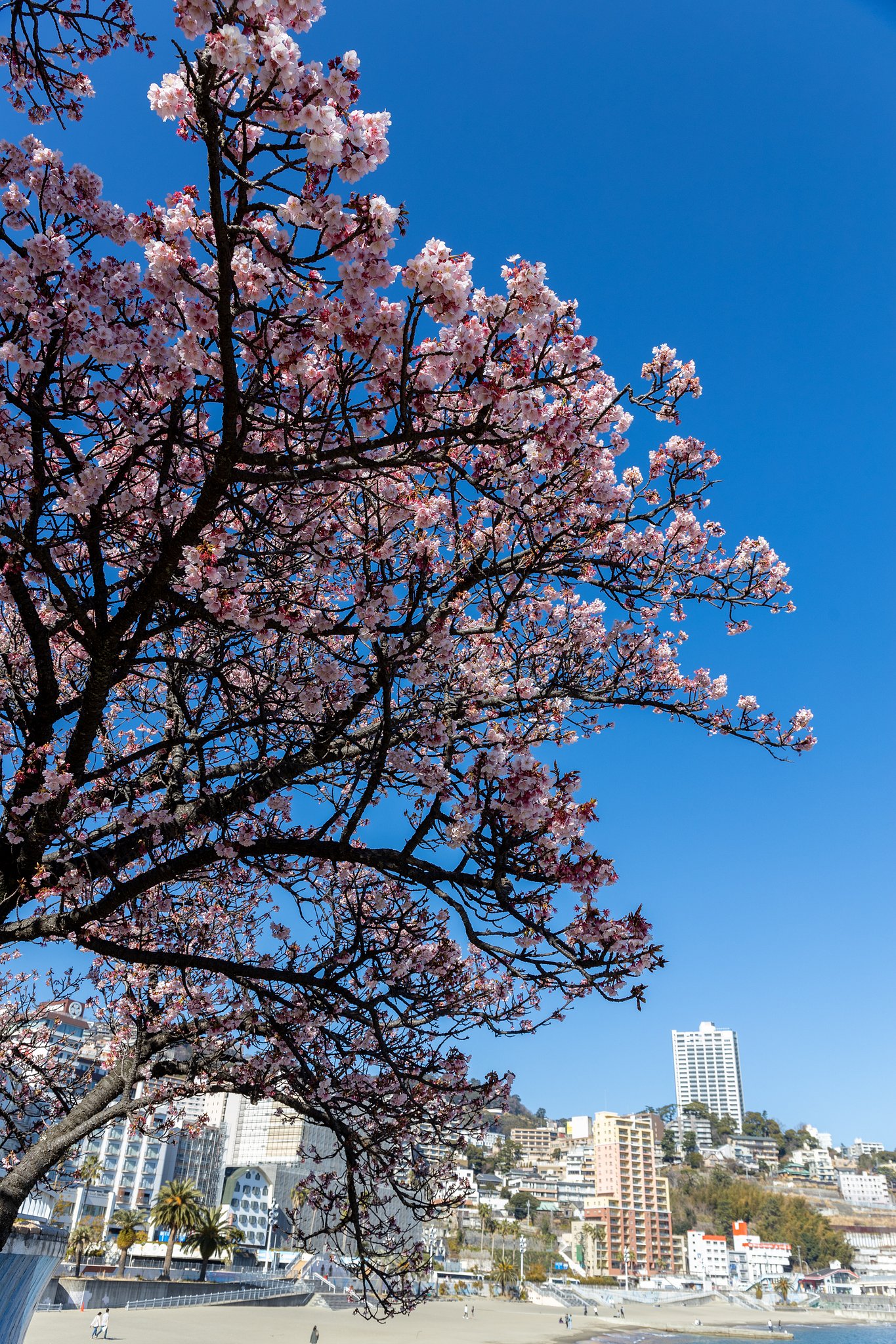 EF24-70mm f/4L IS USM