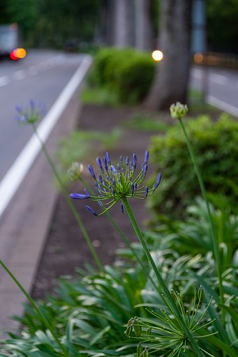 TAMRON 28-300mm F3.5-6.3 Di VC PZD A010N