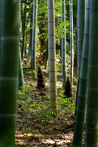 4月14日の写真