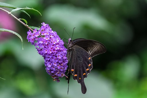 7月15日の写真