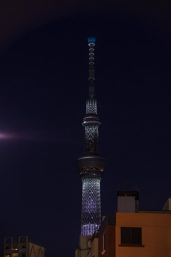 7月10日の写真