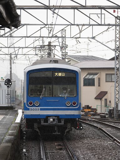 いずっぱこ～青～