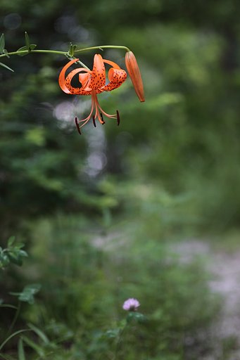 7月25日の写真