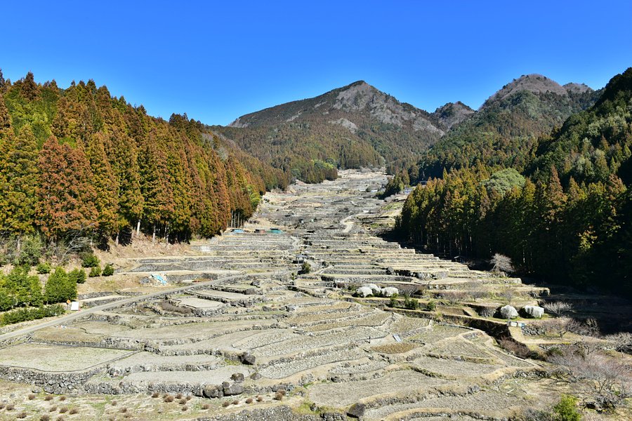 冬の棚田
