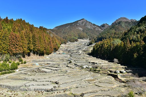 冬の棚田