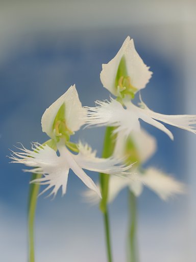 8月16日の写真