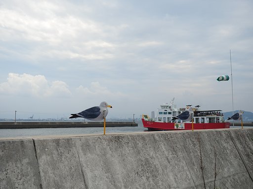 風は海から