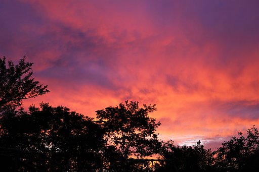 夕焼け