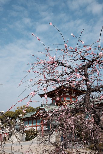 天神様