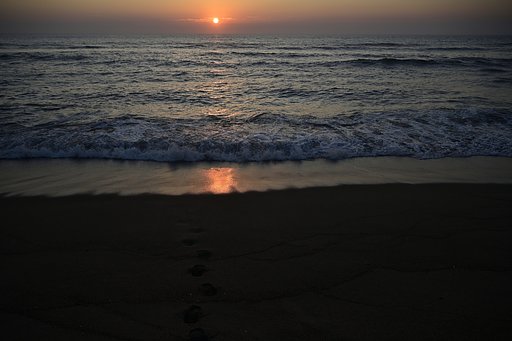 砂浜