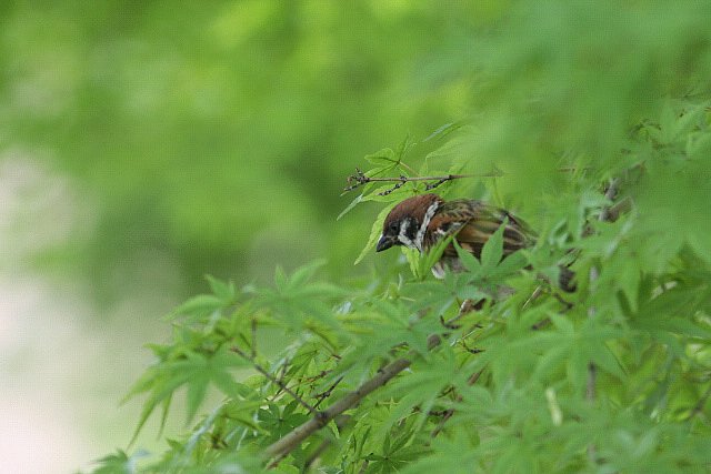 何考えてる！？