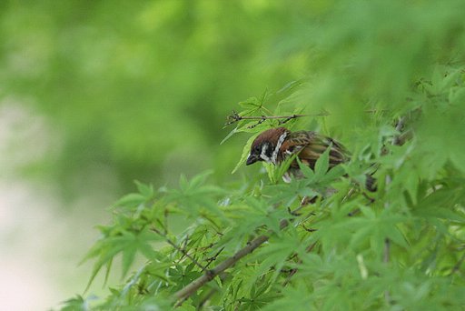 何考えてる！？