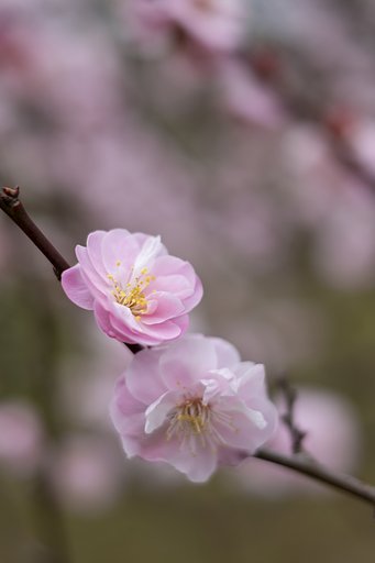 FUJINON XF35mmF1.4 R
