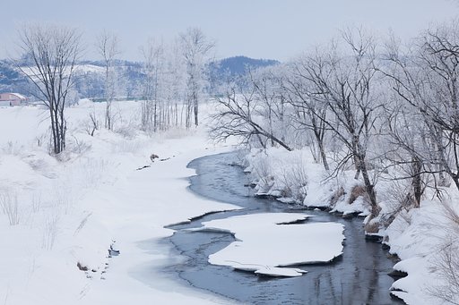 何気のない冬景色