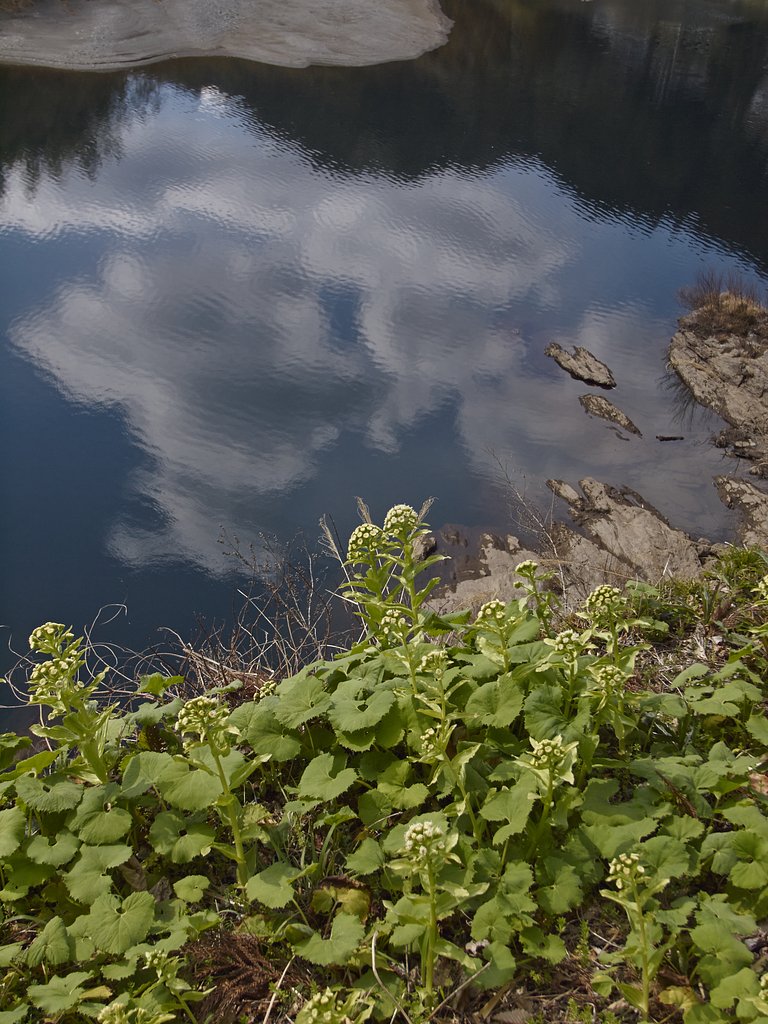 高知・早明浦ダム 