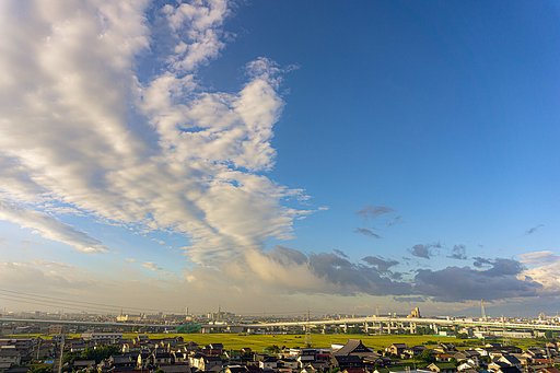 秋の朝