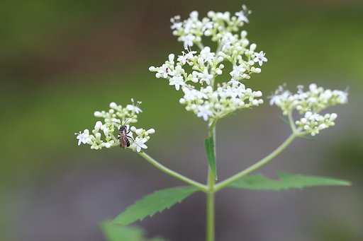 8月23日の写真