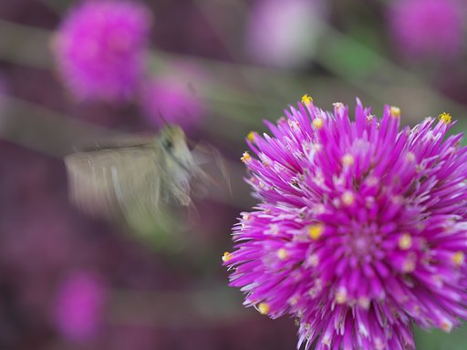 10月11日の写真