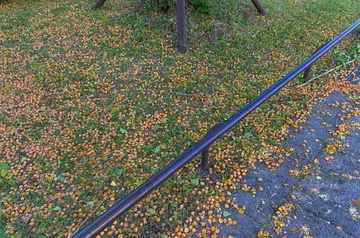 10月13日の写真