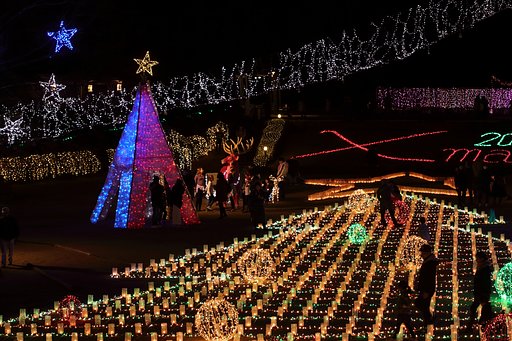 12月22日の写真