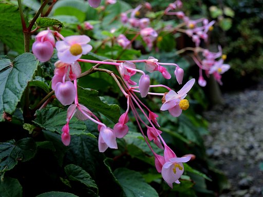 9月5日の写真