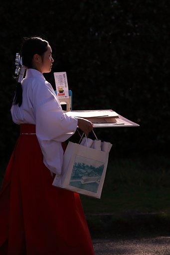 光を味方につける　2018