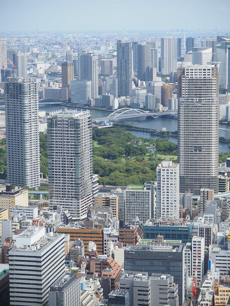 緑のスポット