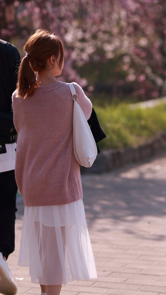 女王トランスルーセントの君