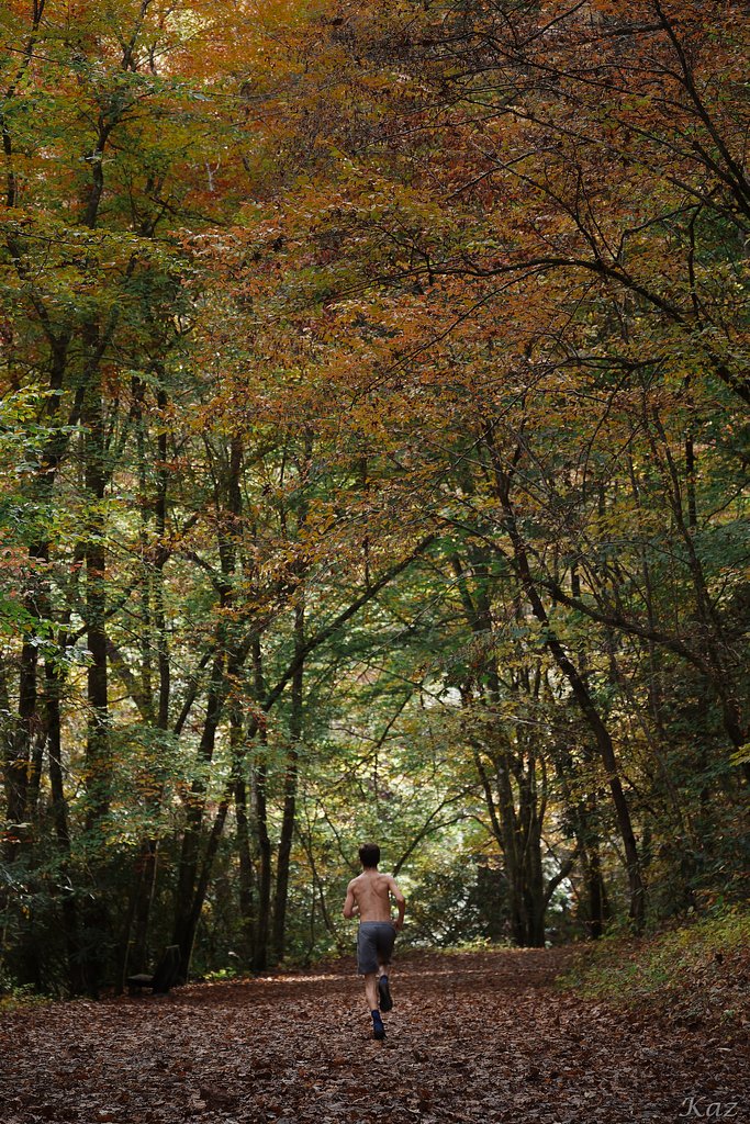 アメリ感紅葉 2