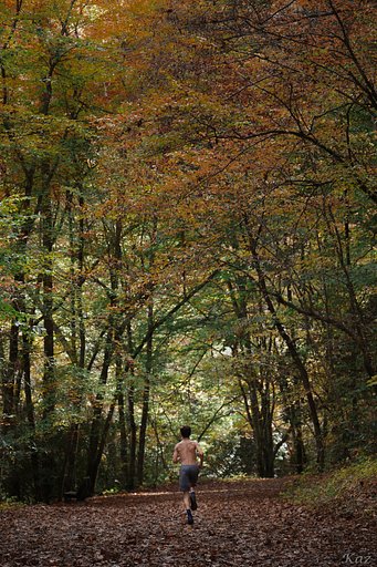 アメリ感紅葉 2