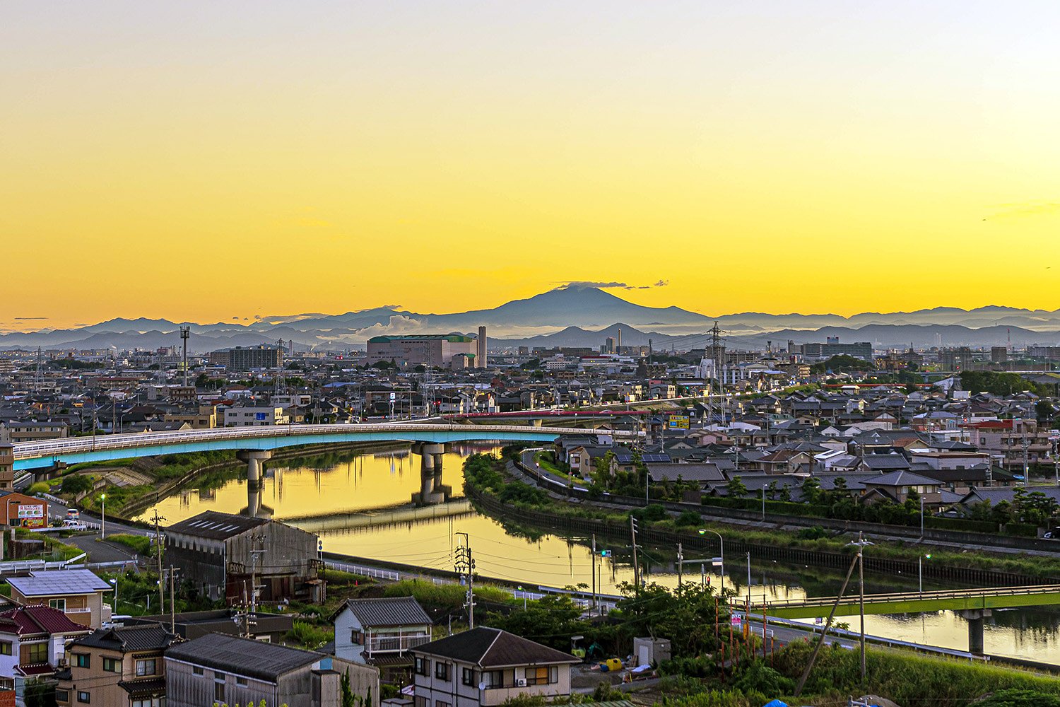【だいだい】じゃないよ黄色だよ