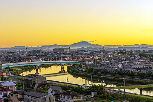 【だいだい】じゃないよ黄色だよ
