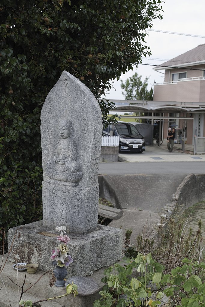 サンプル