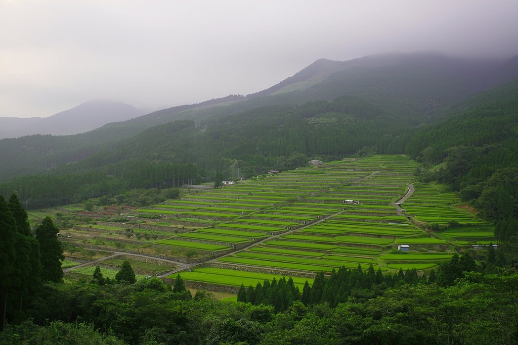 坂元棚田
