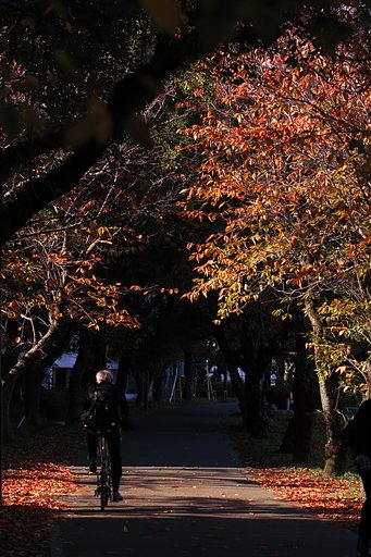 光を味方につける　～サイド光は男の花道～