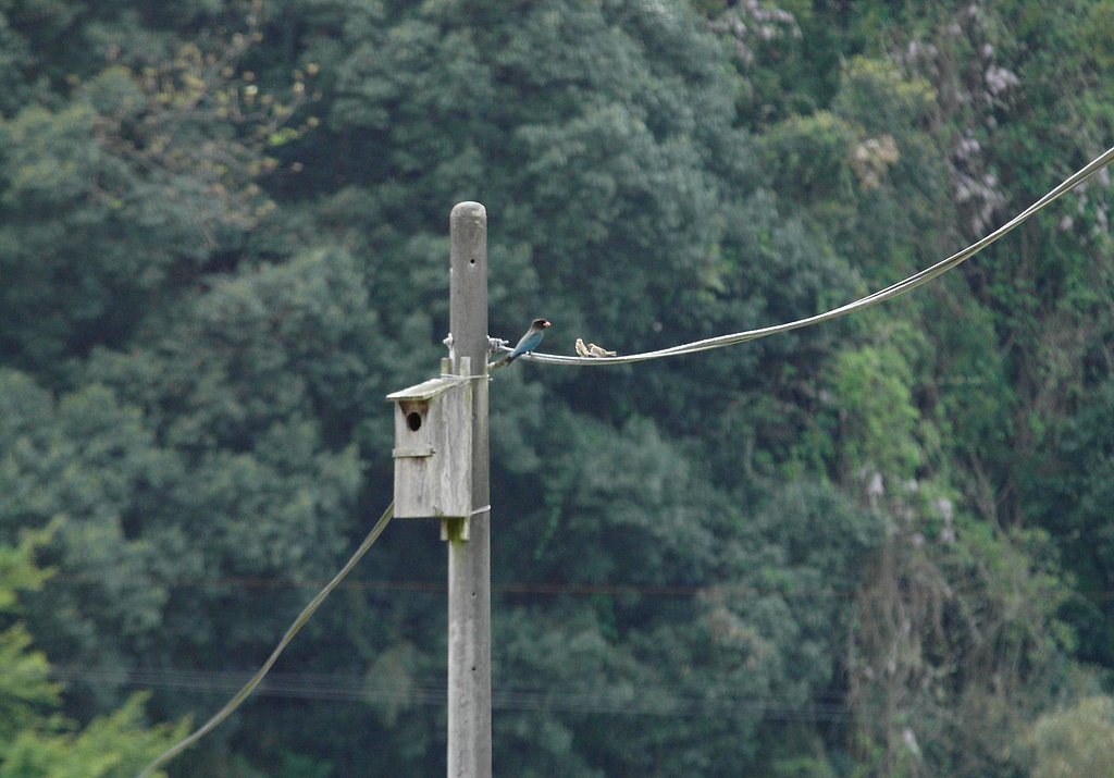 olympus  50-200mm  F2.8-3.5  SWD
