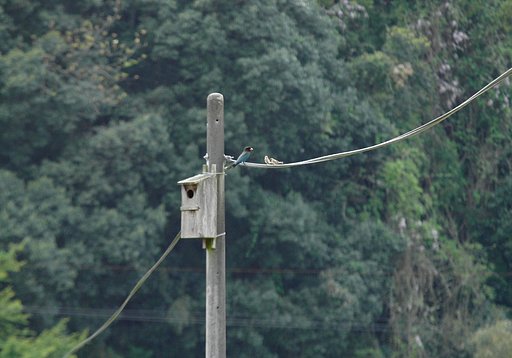 olympus  50-200mm  F2.8-3.5  SWD