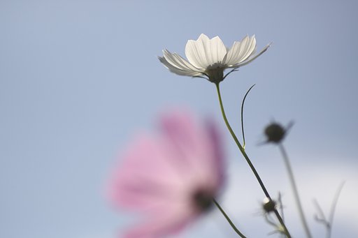 10月9日の写真