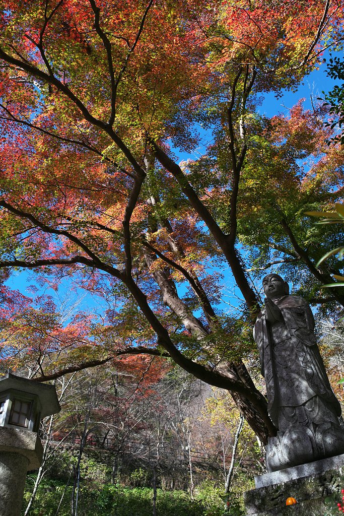 長谷寺