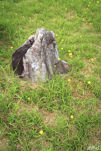 石と野花と物好き親父