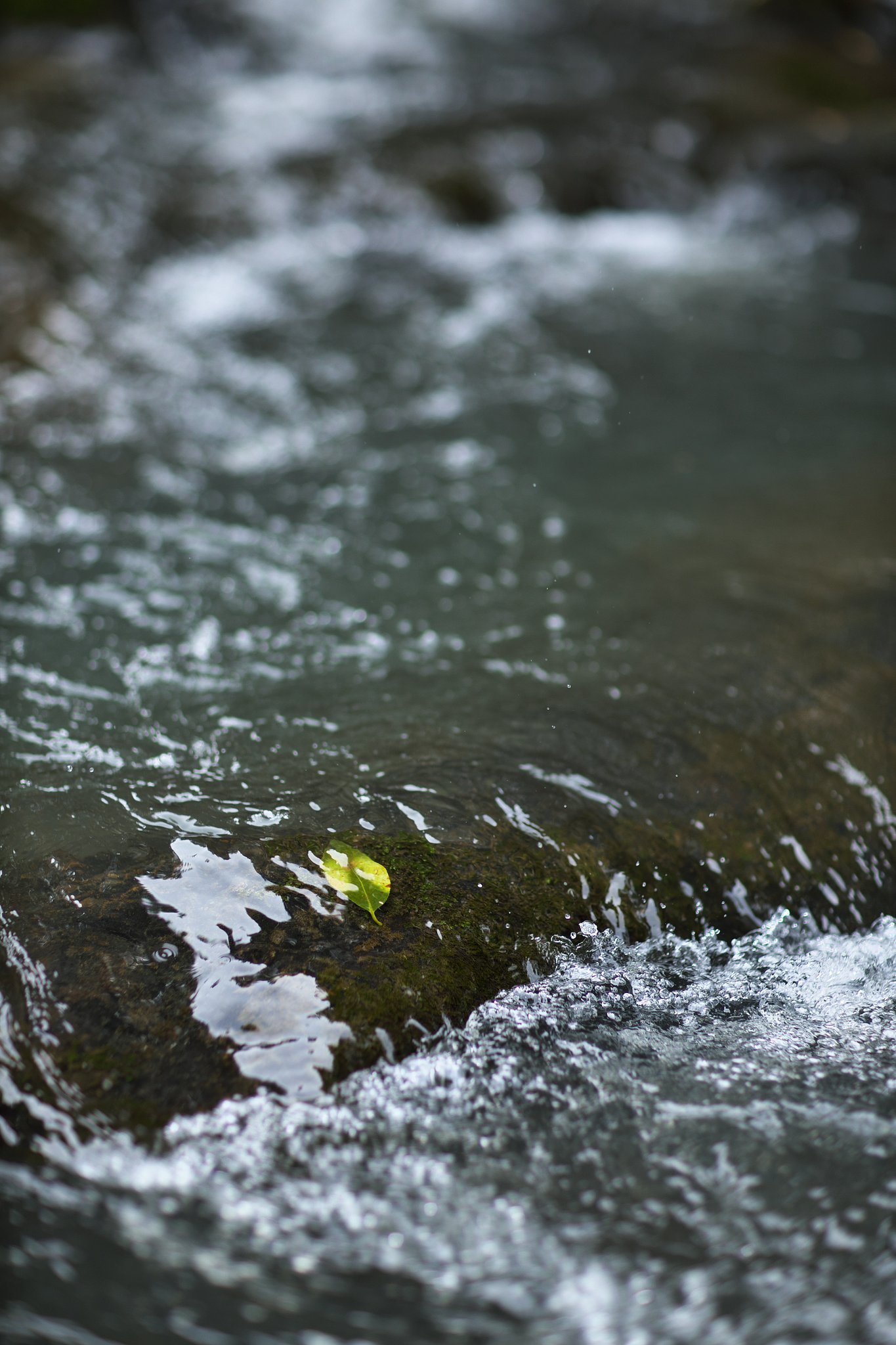 EF85mm F1.2LⅡ